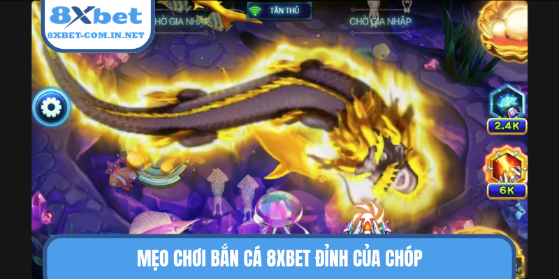 Mẹo chơi bắn cá 8XBET đỉnh của chóp