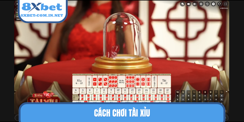 Cách chơi tài xỉu
