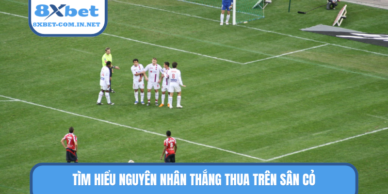 Tìm hiểu nguyên nhân thắng thua trên sân cỏ