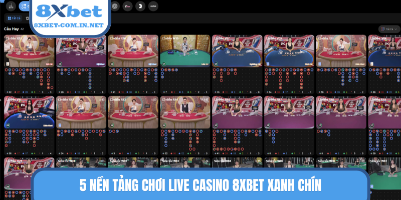 5 nền tảng chơi live casino 8XBET xanh chín