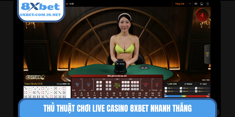 Thủ thuật chơi live casino 8XBET nhanh thắng