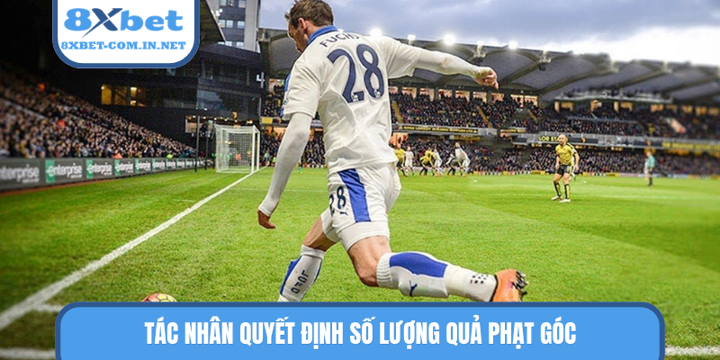 Tác nhân quyết định số lượng quả phạt góc