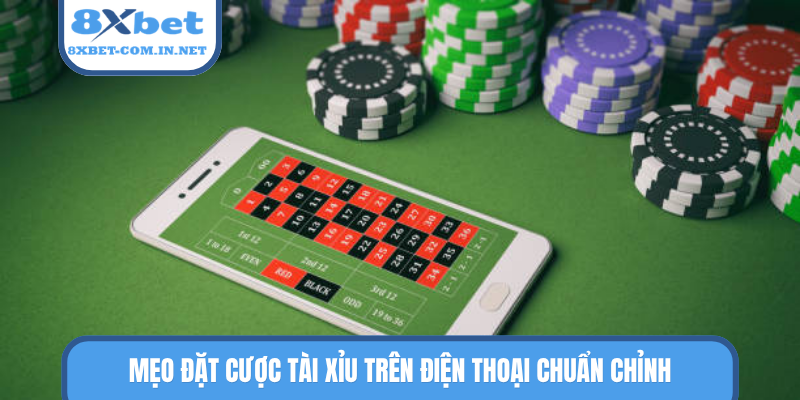 Mẹo đặt cược tài xỉu trên điện thoại chuẩn chỉnh
