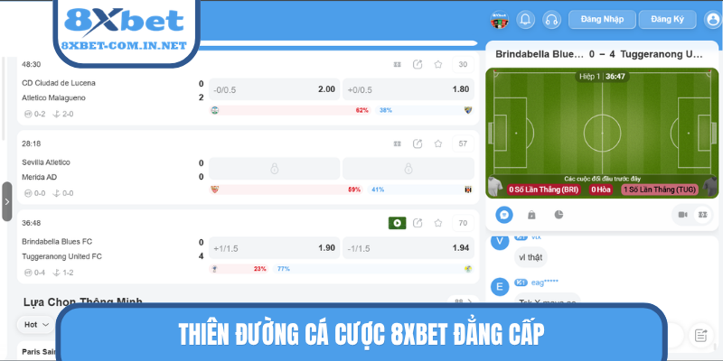Thiên đường cá cược 8XBET đẳng cấp