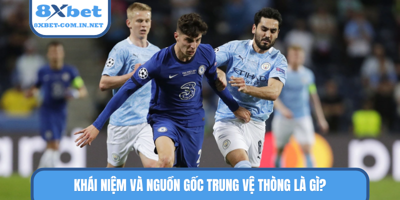 Khái niệm và nguồn gốc trung vệ thòng là gì?